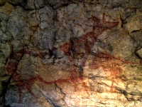 Altamira Cave Tour
