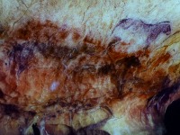 Altamira Cave Tour
